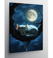 Kanvas Tablo Ağaçta uyuyan beyaz kedi
