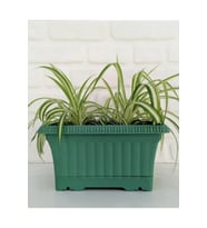 Ova Balkon Saksı No:1 – 27x16 cm, 3.5 Litre Dikdörtgen Saksı