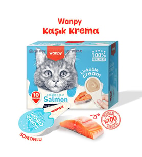 Wanpy Somonlu Kaşıklı Sıvı Kedi Ödül Maması 10*16 gr