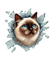 Kedi Tasarımlı Araç Stickerı