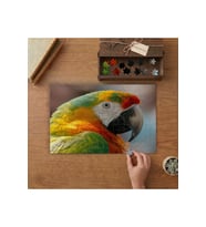 Yakın Çekim Renkli Papağan Tasarımı 240 parça Ahşap Puzzle Ahşap Kutuda MP09909