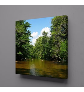 AĞAÇLAR İÇİNDE GÖL KANVAS TABLO 60x60cm (Karışık)