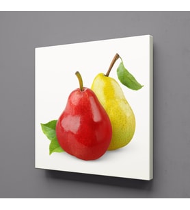 ARMUT KANVAS TABLO 120x120cm (Karışık)
