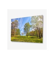 Doğa Cam Tablo 4mm Dayanıklı Temperli Cam (Çok Renkli)