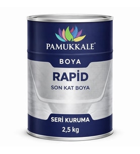 Pamukkale 1402 Rapid Endüstriyel Boya 60-70 Gloss 2.5 Kg Metalik Gri Ral 9006