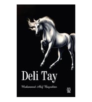 Deli Tay
