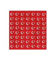 Ay Yıldız Kırmızı Fular Bandana (Çok Renkli)