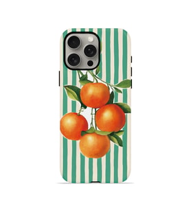 iPhone 15 Pro Vorian Çift Katmanlı Kılıf Italian Orange Orchard