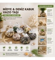 Özel Üretim Doğal Marin Ekolojik Dekoratif Vazo Taşı Midye Deniz Kabuğu Fileli Renkli Mix