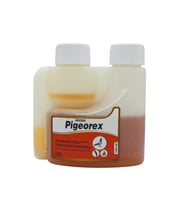 Royal İlaç Pigeorex 125 Ml. Güvercin Ve Kafes Kuşlarında Hırıltı Ve Nefes Açıcı Tamamlayıcı Yem