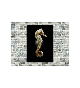 Denizatı Seahorse 3 Ahşap Tablo Büyük Boy