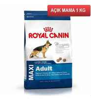 Royal Canin Maxi Adult Büyük Irk Köpek Maması 1 Kg AÇIK