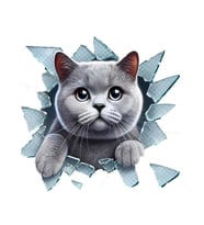 Fulcar British Araç Stickerı (Çok Renkli)