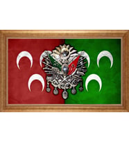 ALTIN ÇERÇEVELİ PASPARTULU TABLO CR734