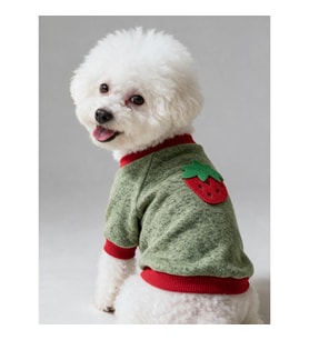 Çilek Tadında Köpek Sweatshirt – Kırmızı Yeşil - Sıcacık
