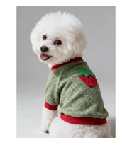 Çilek Tadında Köpek Sweatshirt – Kırmızı Yeşil - Sıcacık