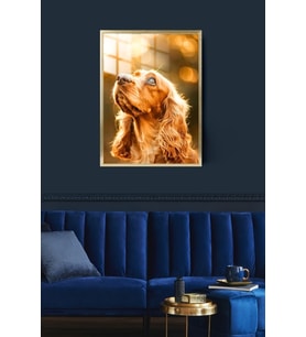 Köpek Çerçeveli Metal Poster Tablo