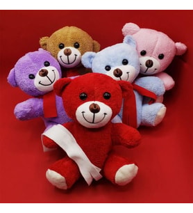 Peluş Ayıcık