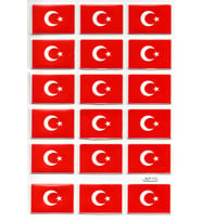 Sticker Kabartmalı A4 Boyutunda Stiker Defter, Planlayıcı Etiket-(lim113) -Türk Bayrağı