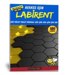 Herkes İçin Labirent Bulmaca Kitabı