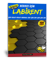 Herkes İçin Labirent Bulmaca Kitabı