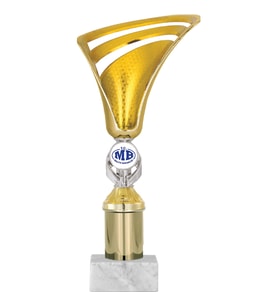 ODAK KUPA - Genel Kupalar - GN-024 B - 28 cm
