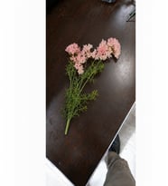 76cm Yapay Yılbaşı 1 Adet
