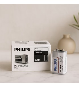 9V Çinko Klorür Pil (6F22)