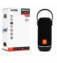 AURIS ARS-SP3 Wireless Portable Speaker