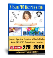 Bilsem PDF Hazırlık Kitabı (1-2-3-4. Sınıflar İçin)