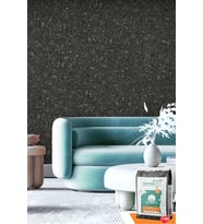 Ventrawall - Siyah Duvar Boyası ve Duvar Kağıdı - BL05 - 5 KG