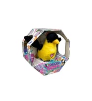 Slap Bant Konuşan ve Taklit Eden Toucan
