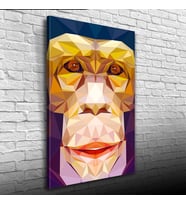 Soyut Maymun Figürü Kanvas Tablo 50 x 70