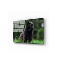 Miyrem Glasses Collection -A1^#  Kedi 2 Cam Tablo (Çok Renkli)