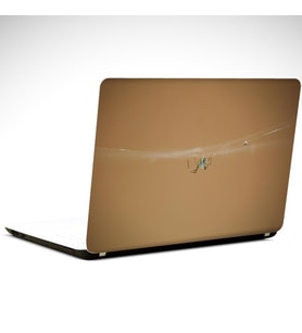 Örümcek Laptop Sticker 10 İnch (25X19CM)