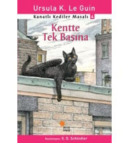 Kanatlı Kediler Masalı 4 - Kentte Tek Başına
