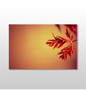 Kızıl Yaprak Kanvas Tablo 30x20cm (Karışık)