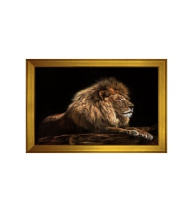 Hayvanlar Temalı Kanvas Tablo 50 x 70 cm Gold Çerçeve