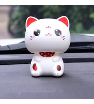Solar Enerji ile Çalışan Kedi