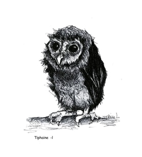 Owl Tablo Ahşap Poster Dekoratif