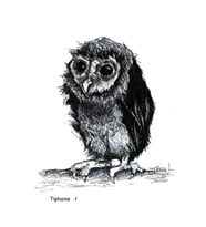 Owl Tablo Ahşap Poster Dekoratif