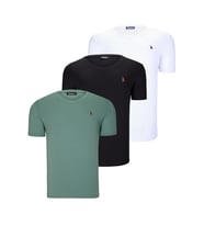 ÜÇLÜ SET T8568 DEWBERRY V YAKA ERKEK T-SHIRT-KOYU SİYAH-KAR BEYAZ-AÇIK YEŞİL (Karışık)