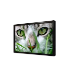 Kedi Çerçeveli Mdf Tablo