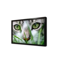 Kedi Çerçeveli Mdf Tablo