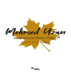 Bir Romanın Defteri