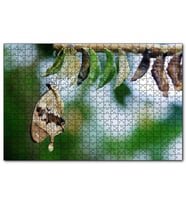 Cakapuzzle Kelebek Kozası Ve Renkli Kelebek Görseli  Puzzle Yapboz MDF (Ahşap) (120 Parça)