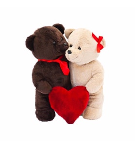 Aşık Ayılar 24CM