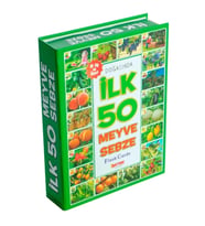Bebeğimin İlk 50 Meyve Eğitim Seti - Bebek Gelişim Oyuncağı (Beyaz)