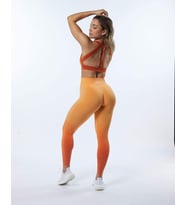 Alphalete Büzgülü Tayt Ombre