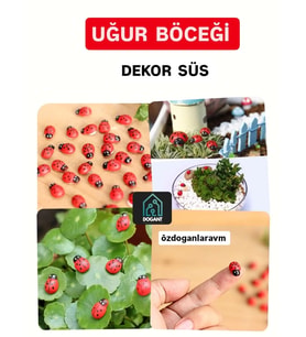 Uğur Böceği Ahşap Dogum Parti Dekor Süsü 50 Adet Yapışkanlı